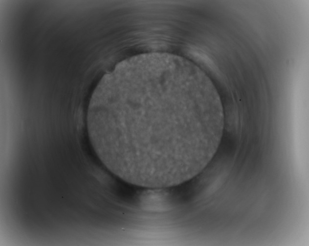 X0000089690077200707201729