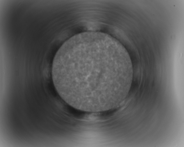 X0000089690078200707201729