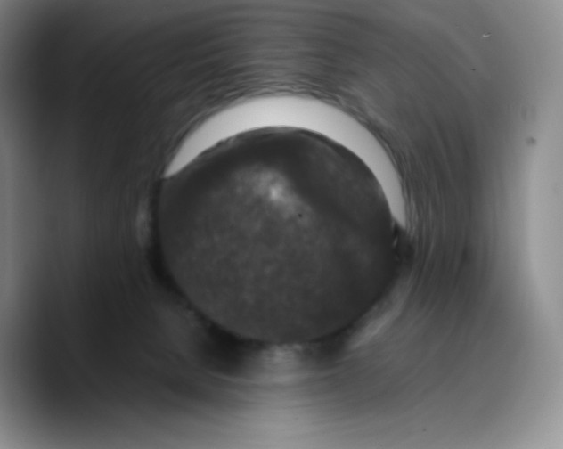 X0000089690080200707201729