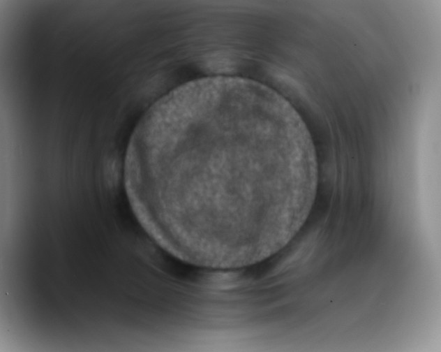 X0000089690081200707201729