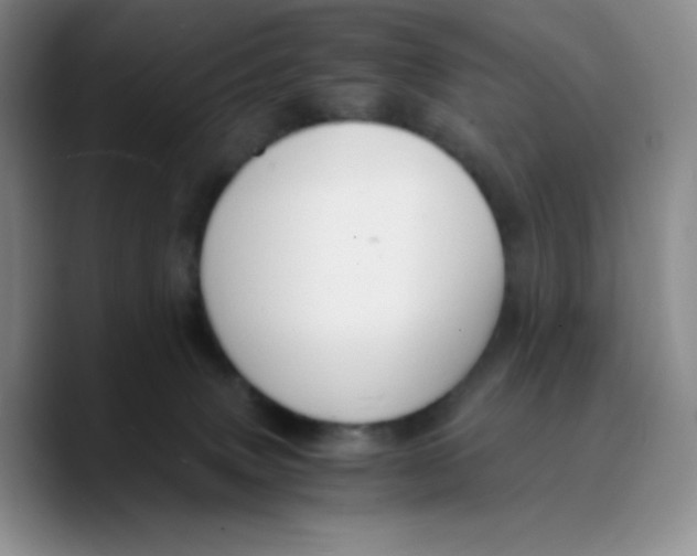 X0000089690083200707201729