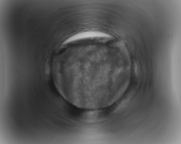 X0000089690084200707201729