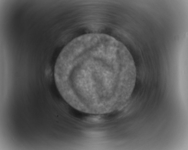X0000089690086200707201729