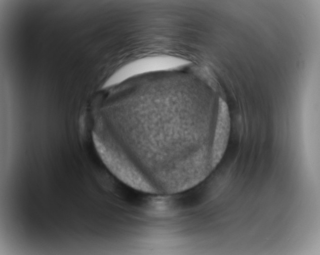 X0000089690088200707201729