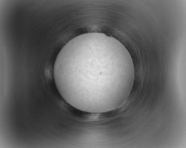 X0000089690090200707201729