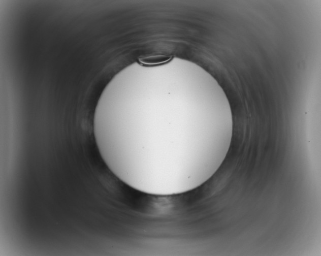 X0000089690091200707201729