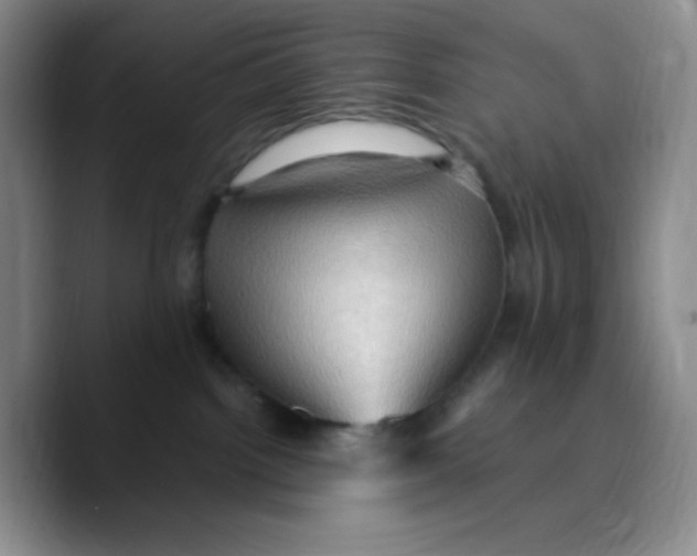 X0000089690092200707201729