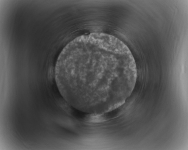 X0000089690093200707201729