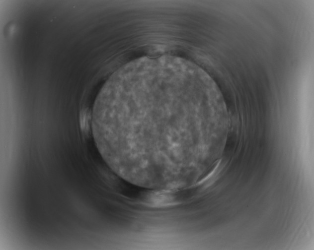 X0000089690094200707201729