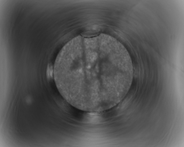 X0000089690095200707201729