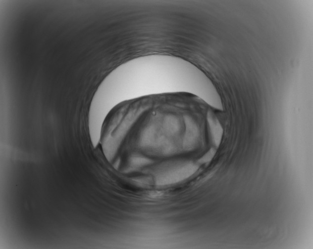 X0000089690096200707201729