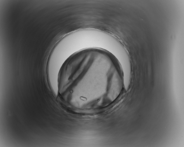 X0000089690099200707201728