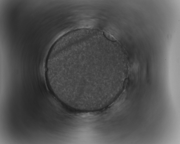 X0000089690100200707201728