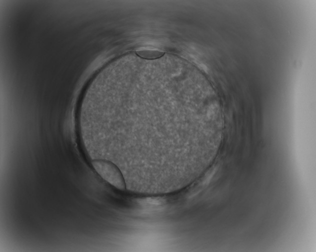 X0000089690102200707201728