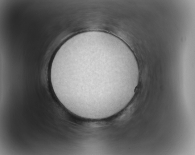 X0000089690103200707201728