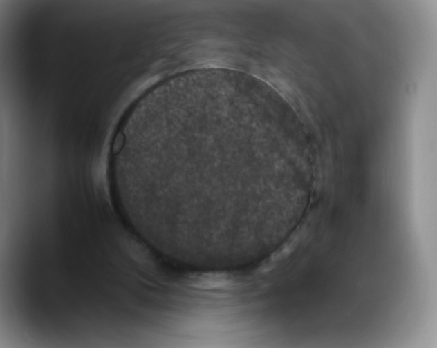 X0000089690104200707201728