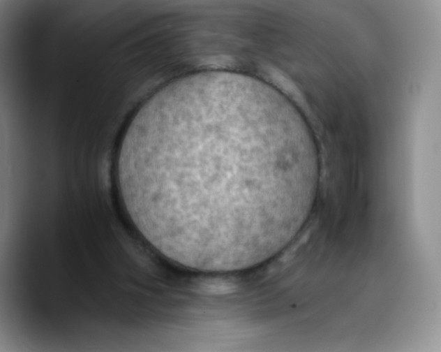 X0000089690106200707201728