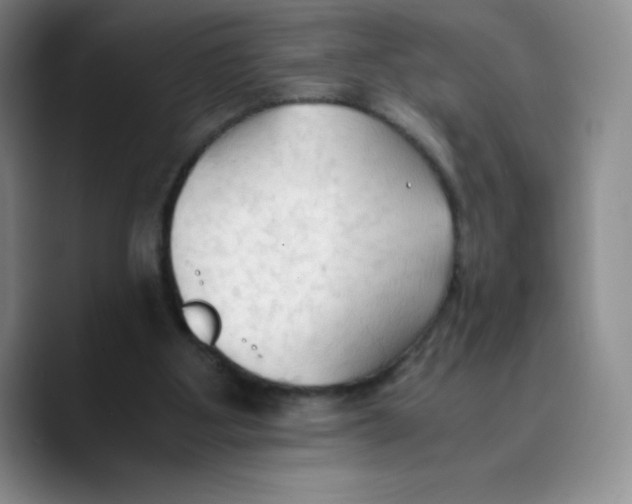 X0000089690107200707201728