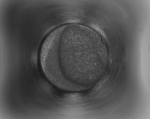 X0000089690108200707201728