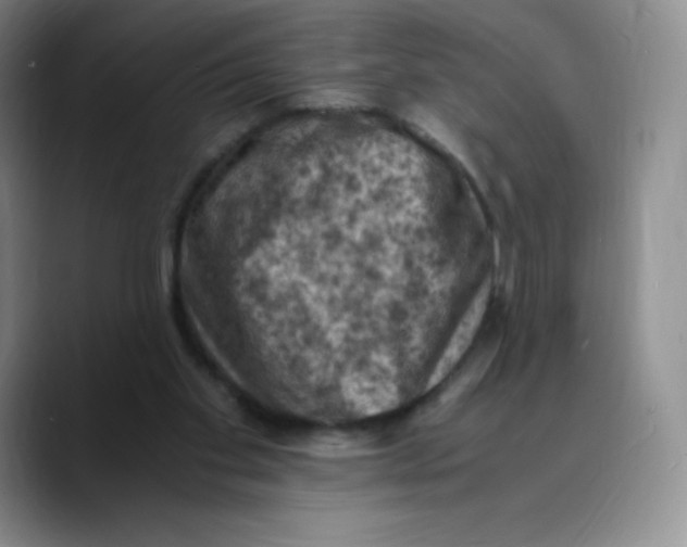 X0000089690109200707201728