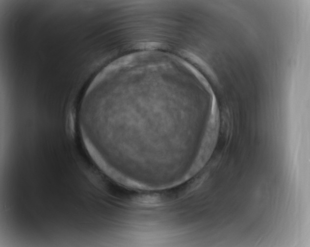 X0000089690110200707201728