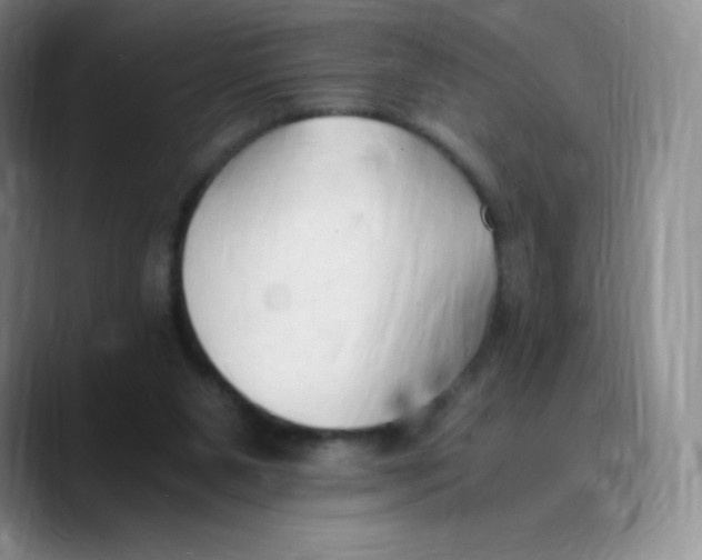 X0000089690111200707201728