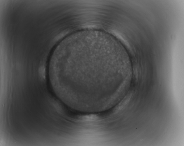X0000089690112200707201728