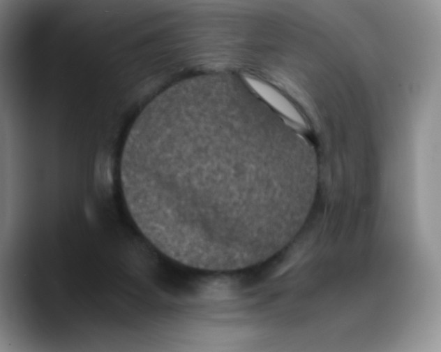 X0000089690115200707201728