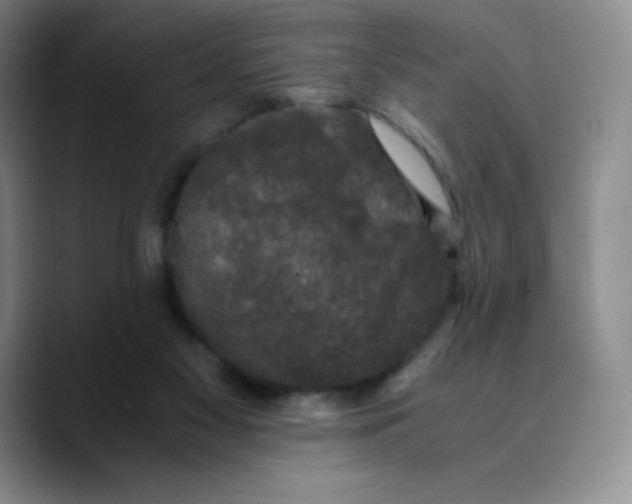 X0000089690117200707201728