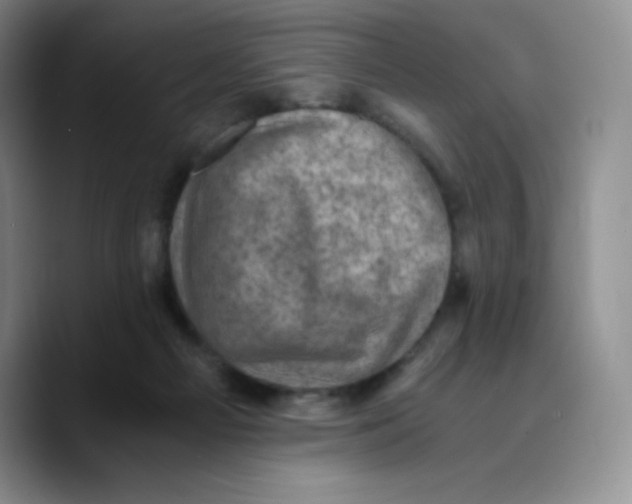 X0000089690121200707201728