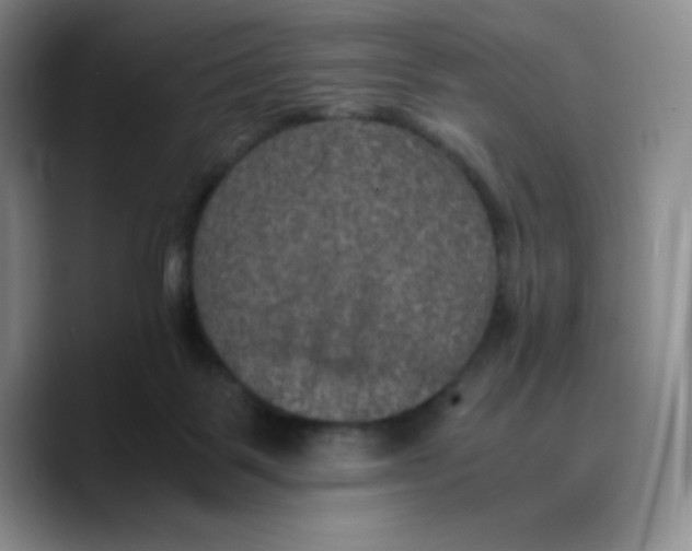 X0000089690123200707201728