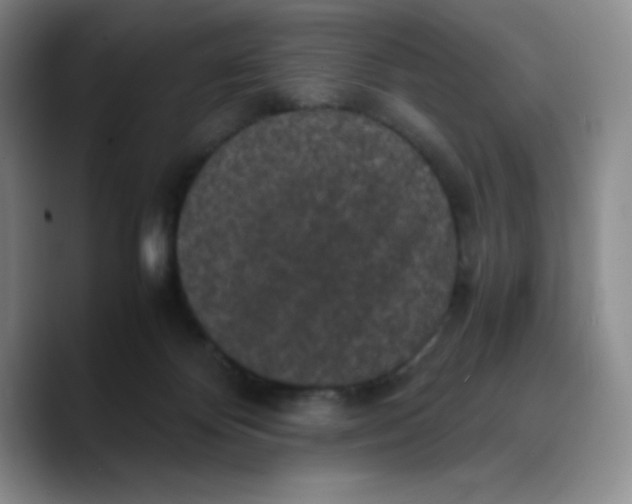 X0000089690124200707201728
