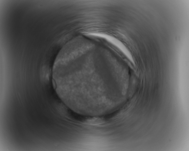 X0000089690125200707201728