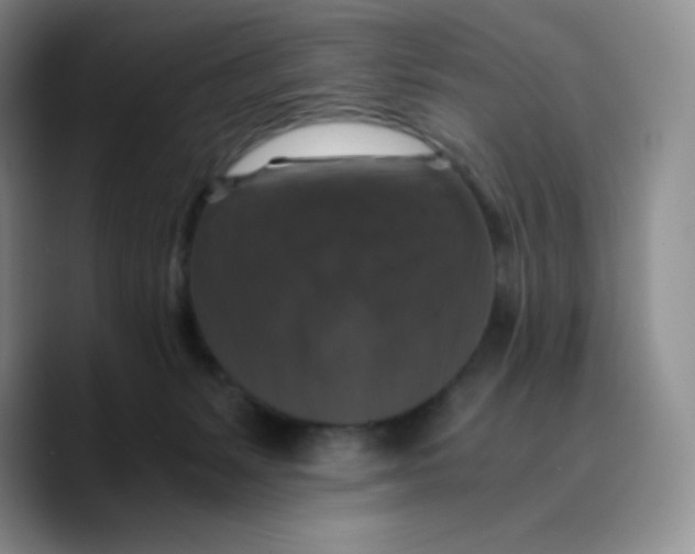 X0000089690127200707201728