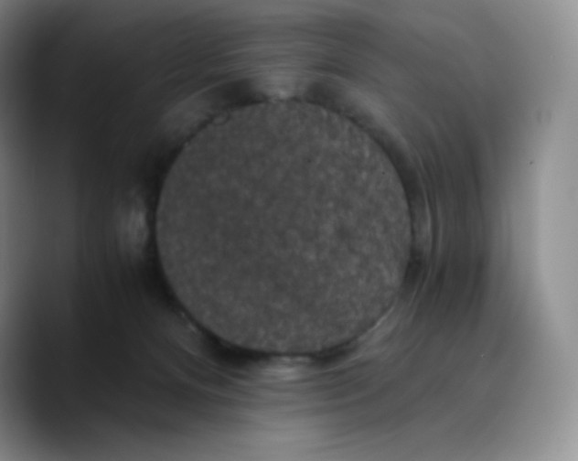 X0000089690128200707201728