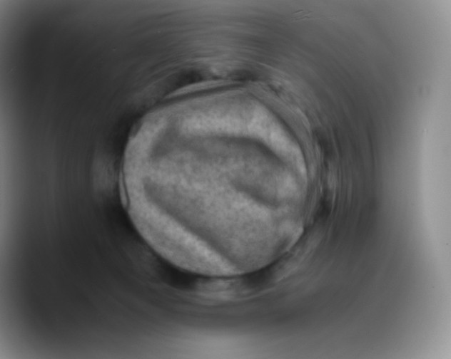 X0000089690129200707201728