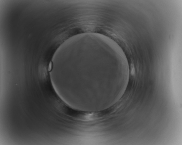 X0000089690130200707201728
