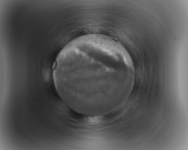 X0000089690134200707201728