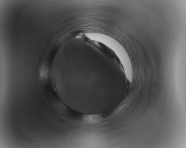 X0000089690137200707201728