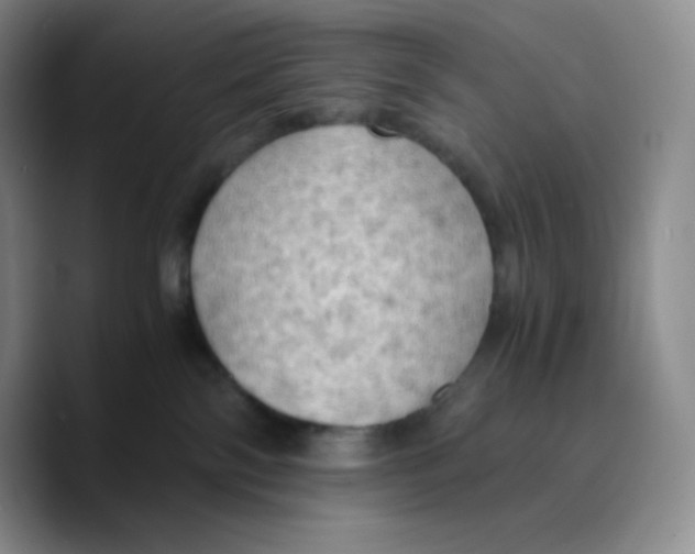X0000089690138200707201728