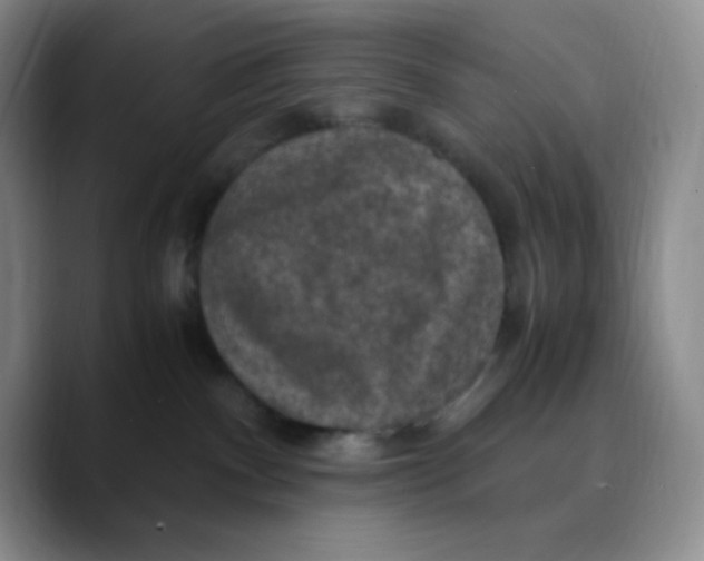 X0000089690140200707201728