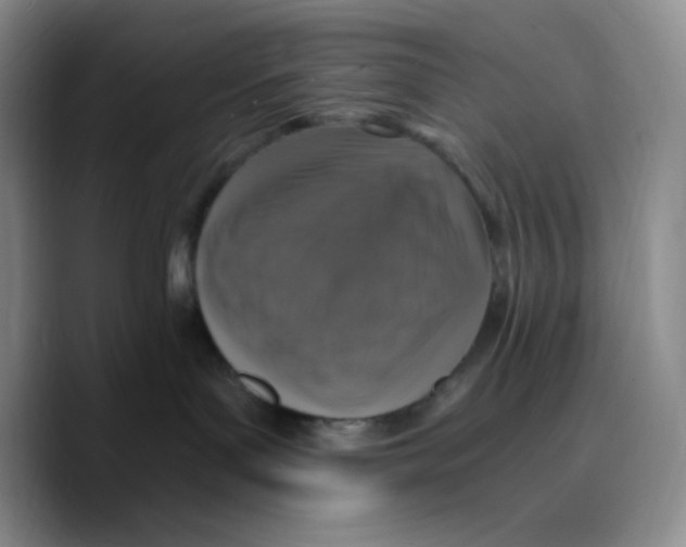 X0000089690143200707201728