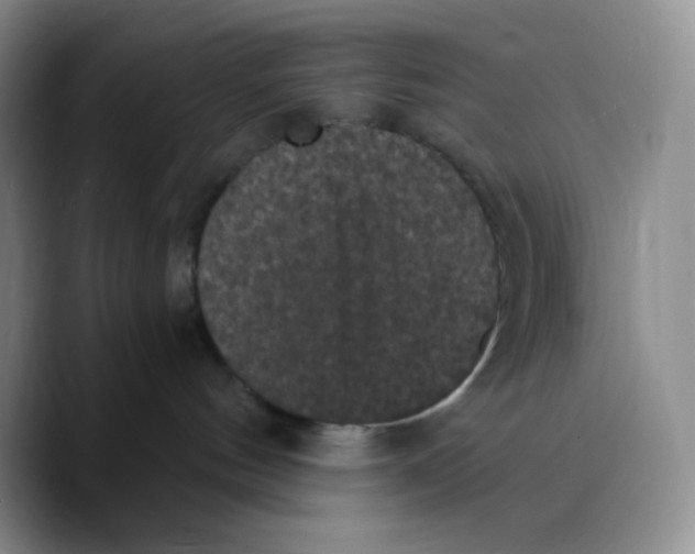 X0000089690144200707201728