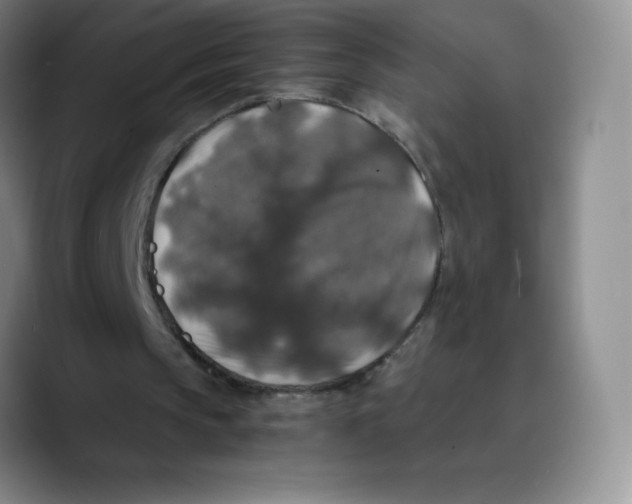 X0000089690145200707201727
