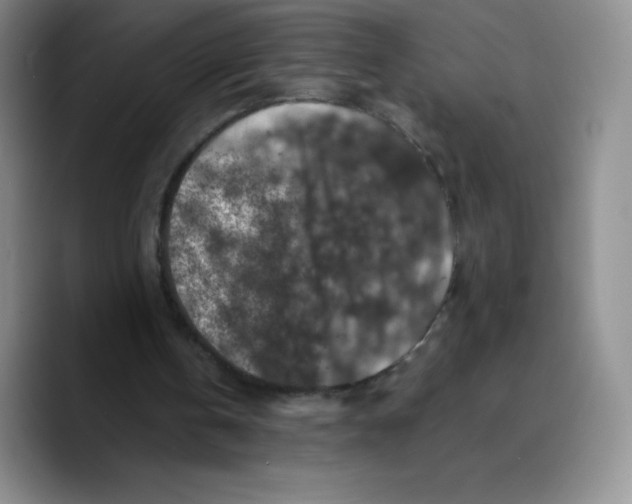 X0000089690146200707201727