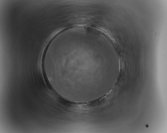 X0000089690147200707201727
