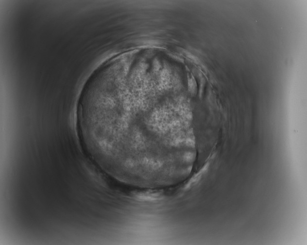 X0000089690148200707201727