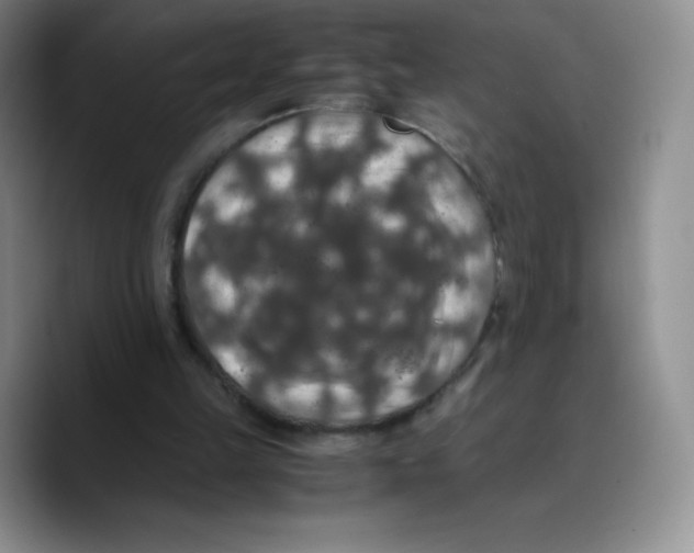 X0000089690149200707201727