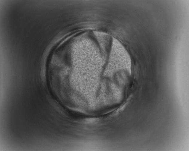 X0000089690150200707201727