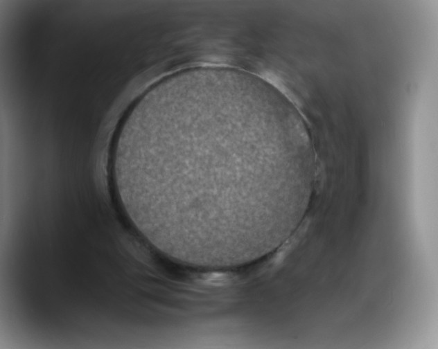 X0000089690151200707201727